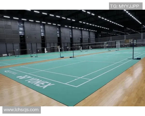 深圳羽毛球队转型升级之路探秘与未来展望